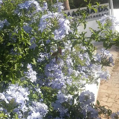 مارينادا 2*